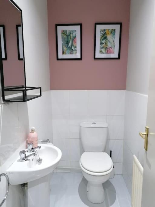 Stunning 3 Bedroom Townhouse In The Heart Of City Belfast Exterior foto